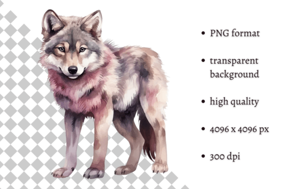 Download Watercolor Woodland Wolf PNG Clipart - Woodland wolf Collection