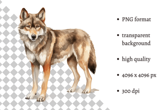 Download Watercolor Woodland Wolf PNG Clipart - Woodland wolf Collection