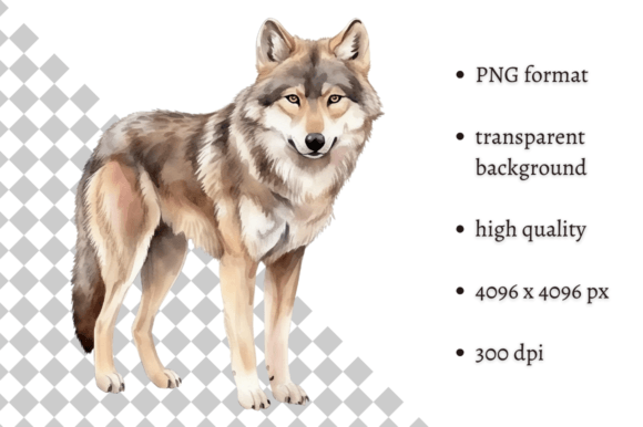 Download Watercolor Woodland Wolf PNG Clipart - Woodland wolf Collection